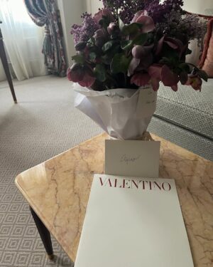 Clairo Instagram - @maisonvalentino @alessandro_michele 🇫🇷❤️🦋