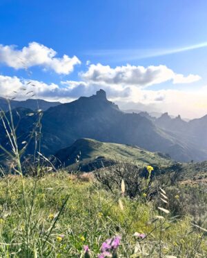 Clara Alvarado Instagram - Dicen que “la isla te expulsa o te atrapa” y tengo claro lo que me está pasando con Gran Canaria ⛰️💛🌴🫶🏻

Qué regalo poder estar trabajando en un lugar tan increíble como este 🙏🏼 gracias vida y gracias a todas las almas que se cruzan en el camino para hacerlo posible. Afortunada es poco.