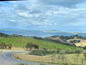 Claudia Conserva Instagram - Esta isla Waiheke, es famosa por sus viñedos, está lleno de lugares para probar cepas distintas, nos encontramos con una Chilena que nos atendió la raja, el resto probaba un poquito y nosotros copas repletas de vino 😄 excelente! 
Se pasó la isla pa linda, paisajes preciosos y gente amable. #viaje #isla #viñas #parras #vino #newzealand @vale_duque