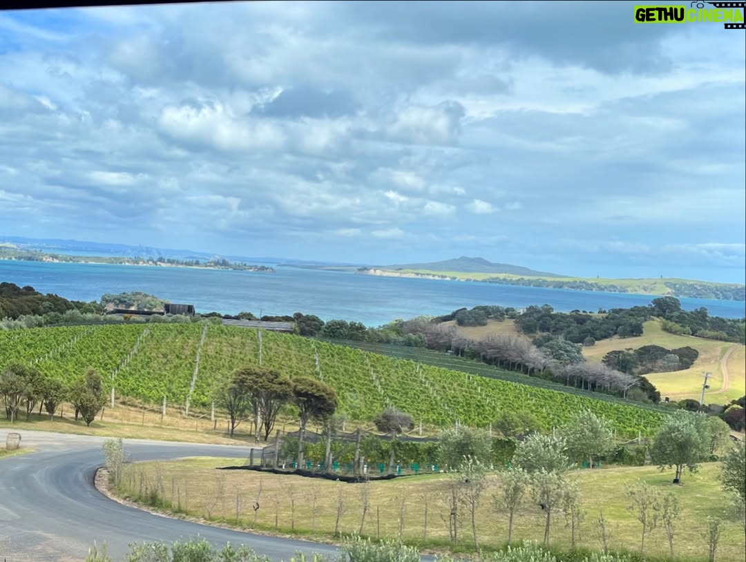 Claudia Conserva - 9.3K Likes - Esta isla Waiheke, es famosa por sus viñedos, está lleno de lugares para probar cepas distintas, nos encontramos con una Chilena que nos atendió la raja, el resto probaba un poquito y nosotros copas repletas de vino 😄 excelente!
Se pasó la isla pa linda, paisajes preciosos y gente amable. #viaje #isla #viñas #parras #vino #newzealand @vale_duque