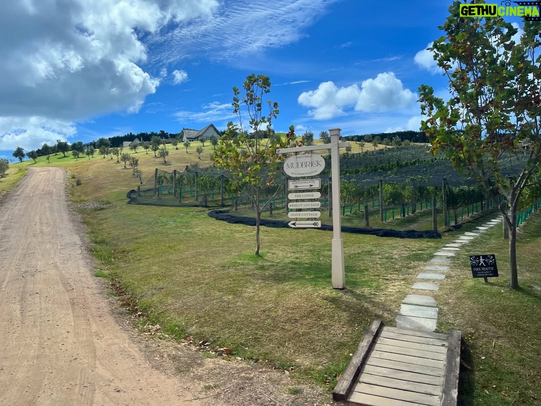 Claudia Conserva - 9.3K Likes - Esta isla Waiheke, es famosa por sus viñedos, está lleno de lugares para probar cepas distintas, nos encontramos con una Chilena que nos atendió la raja, el resto probaba un poquito y nosotros copas repletas de vino 😄 excelente!
Se pasó la isla pa linda, paisajes preciosos y gente amable. #viaje #isla #viñas #parras #vino #newzealand @vale_duque