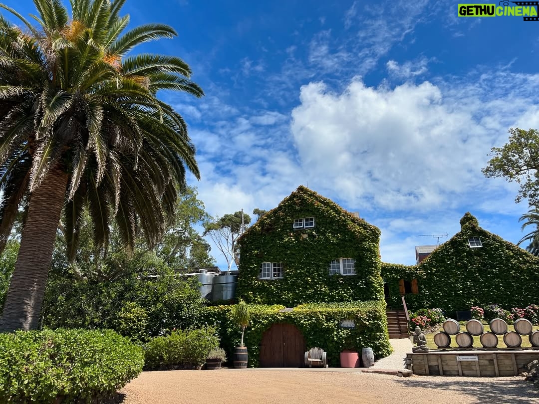 Claudia Conserva - 9.3K Likes - Esta isla Waiheke, es famosa por sus viñedos, está lleno de lugares para probar cepas distintas, nos encontramos con una Chilena que nos atendió la raja, el resto probaba un poquito y nosotros copas repletas de vino 😄 excelente!
Se pasó la isla pa linda, paisajes preciosos y gente amable. #viaje #isla #viñas #parras #vino #newzealand @vale_duque
