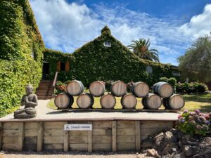 Claudia Conserva Instagram - Esta isla Waiheke, es famosa por sus viñedos, está lleno de lugares para probar cepas distintas, nos encontramos con una Chilena que nos atendió la raja, el resto probaba un poquito y nosotros copas repletas de vino 😄 excelente! 
Se pasó la isla pa linda, paisajes preciosos y gente amable. #viaje #isla #viñas #parras #vino #newzealand @vale_duque