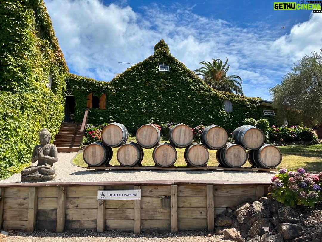 Claudia Conserva - 9.3K Likes - Esta isla Waiheke, es famosa por sus viñedos, está lleno de lugares para probar cepas distintas, nos encontramos con una Chilena que nos atendió la raja, el resto probaba un poquito y nosotros copas repletas de vino 😄 excelente!
Se pasó la isla pa linda, paisajes preciosos y gente amable. #viaje #isla #viñas #parras #vino #newzealand @vale_duque