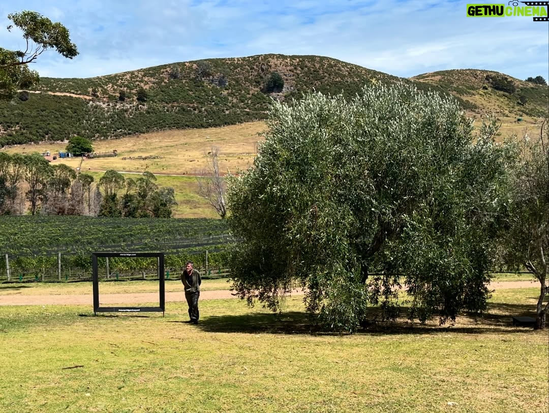 Claudia Conserva - 9.3K Likes - Esta isla Waiheke, es famosa por sus viñedos, está lleno de lugares para probar cepas distintas, nos encontramos con una Chilena que nos atendió la raja, el resto probaba un poquito y nosotros copas repletas de vino 😄 excelente!
Se pasó la isla pa linda, paisajes preciosos y gente amable. #viaje #isla #viñas #parras #vino #newzealand @vale_duque