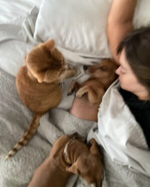 Constanza Piccoli Instagram - Gracias Kanito 💫 Eres y siempre serás mi hijo, te amo desde que te vi llegar, con tus patitas heridas y el corazón roto, logramos que olvidaras esos 10 años de sufrimiento y maltrato, logramos que conocieras el amor, los cariños, la comida rica y el polar🥹viniste a cambiar la vida de mi hermana, fueron 5 años de amor intenso y desinteresado. 
Mi Bambo te extrañará mucho, pero sé que lo estarás cuidando desde el cielo de los peyos. 
Te amo para siempre mi keno 🐶💫