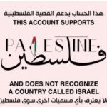 Dalia Mostafa