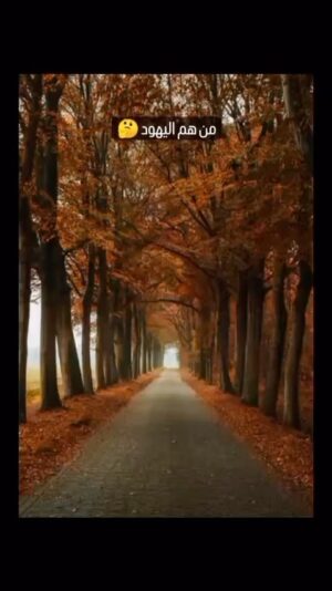 Dalia Mostafa Instagram - اليهود