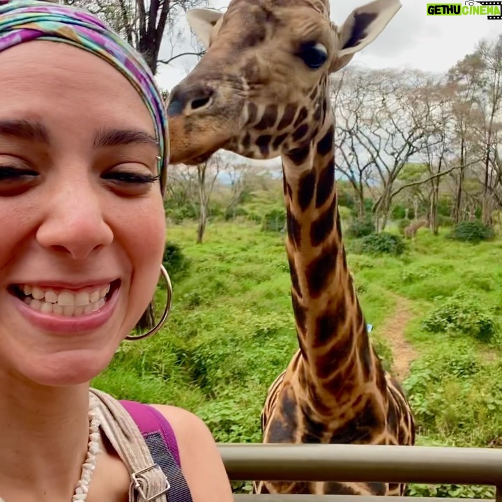 Dalia Shawky - 60.1K Likes - KENYA! 🦒🦓🐅🦣🐆🌿

Here’s to making a life-long dream of mine become a reality. Beyond ecstatic to go on this adventure of a lifetime. YOLO 🥹⚡️

Swipe more to see my besties Eddie and Betty .. 
Eddie و شوفوا 
و هو بيسمع اسمه و بيسمع كلامي و يجيلي 
و قصة حبنا اللي اول صفحة اتكتبت فيها انهارده 🤭
اتهورت و عملتها.. 🙈

علاقتي بالزرافة علاقة بحبها اوي.. من و انا صغيرة ناس كتير اوي كانت بتقعد تتريق عليا و تقولي ان رقبتي شبه الزرافة.. كانوا بيقولوهالي بطريقة مش لذيذة خالص .. كبرت و حبي للزرافة كبر معايا و كتبت مرة ان نفسي اعيش اللحظة دي اني أككلهم و اني اشوفهم في الwild حاسين بالحرية و منطلقين .. و حصل. الحمد لله.. سبحانك. 

انا لو رقبتي بتشبهوها بالزرافة 
فأنا ليا الشرف بجمالهم ده و رشاقتهم دي 🦒

انهارده كان يوم ~ عمري ماهنساه في حياتي كلها. ✨