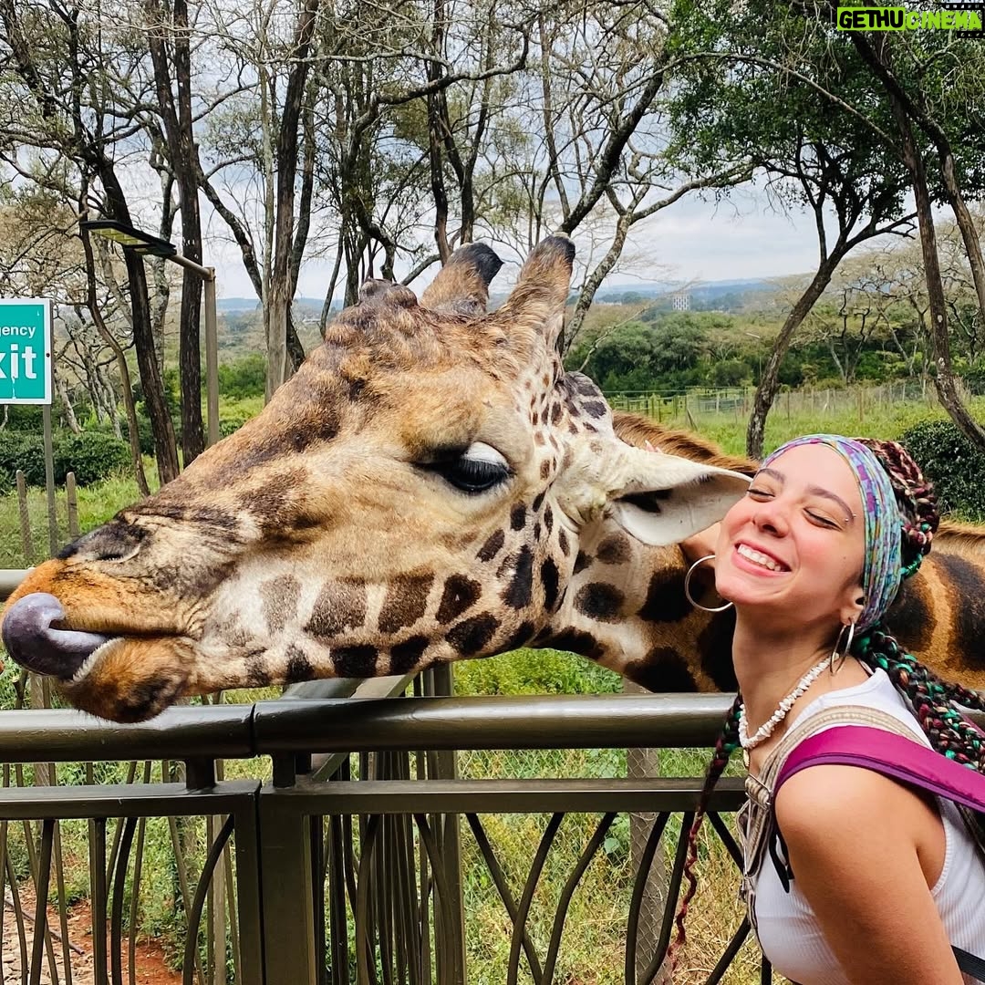 Dalia Shawky - 60.1K Likes - KENYA! 🦒🦓🐅🦣🐆🌿

Here’s to making a life-long dream of mine become a reality. Beyond ecstatic to go on this adventure of a lifetime. YOLO 🥹⚡️

Swipe more to see my besties Eddie and Betty .. 
Eddie و شوفوا 
و هو بيسمع اسمه و بيسمع كلامي و يجيلي 
و قصة حبنا اللي اول صفحة اتكتبت فيها انهارده 🤭
اتهورت و عملتها.. 🙈

علاقتي بالزرافة علاقة بحبها اوي.. من و انا صغيرة ناس كتير اوي كانت بتقعد تتريق عليا و تقولي ان رقبتي شبه الزرافة.. كانوا بيقولوهالي بطريقة مش لذيذة خالص .. كبرت و حبي للزرافة كبر معايا و كتبت مرة ان نفسي اعيش اللحظة دي اني أككلهم و اني اشوفهم في الwild حاسين بالحرية و منطلقين .. و حصل. الحمد لله.. سبحانك. 

انا لو رقبتي بتشبهوها بالزرافة 
فأنا ليا الشرف بجمالهم ده و رشاقتهم دي 🦒

انهارده كان يوم ~ عمري ماهنساه في حياتي كلها. ✨