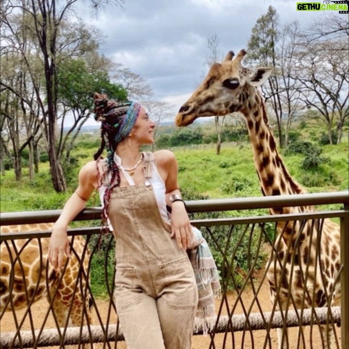Dalia Shawky - 60.1K Likes - KENYA! 🦒🦓🐅🦣🐆🌿

Here’s to making a life-long dream of mine become a reality. Beyond ecstatic to go on this adventure of a lifetime. YOLO 🥹⚡️

Swipe more to see my besties Eddie and Betty .. 
Eddie و شوفوا 
و هو بيسمع اسمه و بيسمع كلامي و يجيلي 
و قصة حبنا اللي اول صفحة اتكتبت فيها انهارده 🤭
اتهورت و عملتها.. 🙈

علاقتي بالزرافة علاقة بحبها اوي.. من و انا صغيرة ناس كتير اوي كانت بتقعد تتريق عليا و تقولي ان رقبتي شبه الزرافة.. كانوا بيقولوهالي بطريقة مش لذيذة خالص .. كبرت و حبي للزرافة كبر معايا و كتبت مرة ان نفسي اعيش اللحظة دي اني أككلهم و اني اشوفهم في الwild حاسين بالحرية و منطلقين .. و حصل. الحمد لله.. سبحانك. 

انا لو رقبتي بتشبهوها بالزرافة 
فأنا ليا الشرف بجمالهم ده و رشاقتهم دي 🦒

انهارده كان يوم ~ عمري ماهنساه في حياتي كلها. ✨