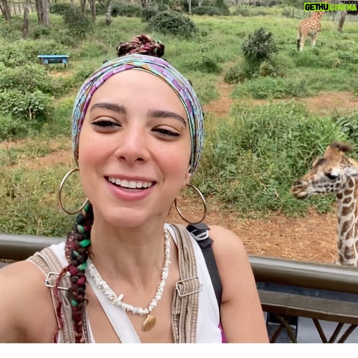 Dalia Shawky - 60.1K Likes - KENYA! 🦒🦓🐅🦣🐆🌿

Here’s to making a life-long dream of mine become a reality. Beyond ecstatic to go on this adventure of a lifetime. YOLO 🥹⚡️

Swipe more to see my besties Eddie and Betty .. 
Eddie و شوفوا 
و هو بيسمع اسمه و بيسمع كلامي و يجيلي 
و قصة حبنا اللي اول صفحة اتكتبت فيها انهارده 🤭
اتهورت و عملتها.. 🙈

علاقتي بالزرافة علاقة بحبها اوي.. من و انا صغيرة ناس كتير اوي كانت بتقعد تتريق عليا و تقولي ان رقبتي شبه الزرافة.. كانوا بيقولوهالي بطريقة مش لذيذة خالص .. كبرت و حبي للزرافة كبر معايا و كتبت مرة ان نفسي اعيش اللحظة دي اني أككلهم و اني اشوفهم في الwild حاسين بالحرية و منطلقين .. و حصل. الحمد لله.. سبحانك. 

انا لو رقبتي بتشبهوها بالزرافة 
فأنا ليا الشرف بجمالهم ده و رشاقتهم دي 🦒

انهارده كان يوم ~ عمري ماهنساه في حياتي كلها. ✨