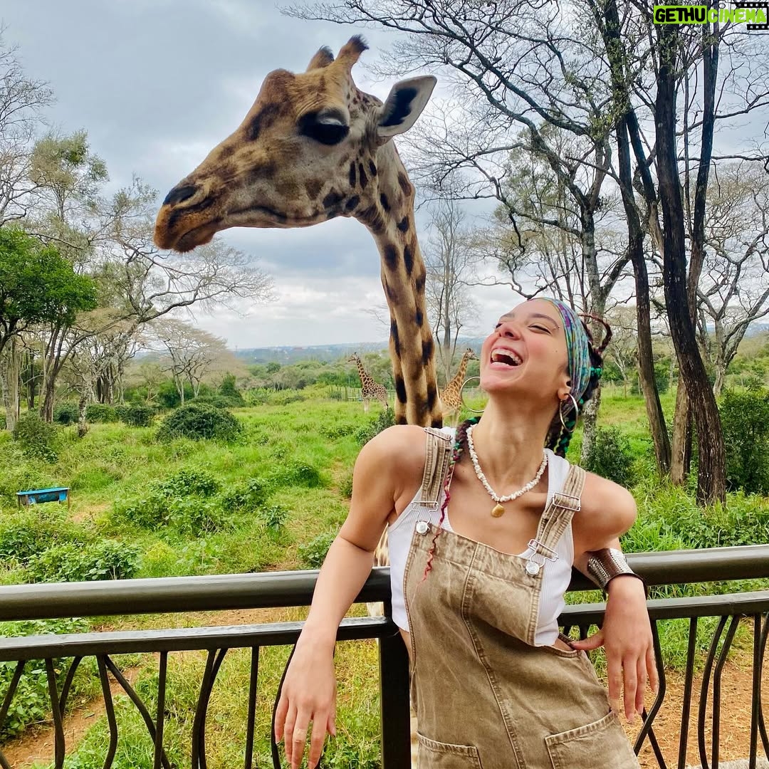 Dalia Shawky - 60.1K Likes - KENYA! 🦒🦓🐅🦣🐆🌿

Here’s to making a life-long dream of mine become a reality. Beyond ecstatic to go on this adventure of a lifetime. YOLO 🥹⚡️

Swipe more to see my besties Eddie and Betty .. 
Eddie و شوفوا 
و هو بيسمع اسمه و بيسمع كلامي و يجيلي 
و قصة حبنا اللي اول صفحة اتكتبت فيها انهارده 🤭
اتهورت و عملتها.. 🙈

علاقتي بالزرافة علاقة بحبها اوي.. من و انا صغيرة ناس كتير اوي كانت بتقعد تتريق عليا و تقولي ان رقبتي شبه الزرافة.. كانوا بيقولوهالي بطريقة مش لذيذة خالص .. كبرت و حبي للزرافة كبر معايا و كتبت مرة ان نفسي اعيش اللحظة دي اني أككلهم و اني اشوفهم في الwild حاسين بالحرية و منطلقين .. و حصل. الحمد لله.. سبحانك. 

انا لو رقبتي بتشبهوها بالزرافة 
فأنا ليا الشرف بجمالهم ده و رشاقتهم دي 🦒

انهارده كان يوم ~ عمري ماهنساه في حياتي كلها. ✨