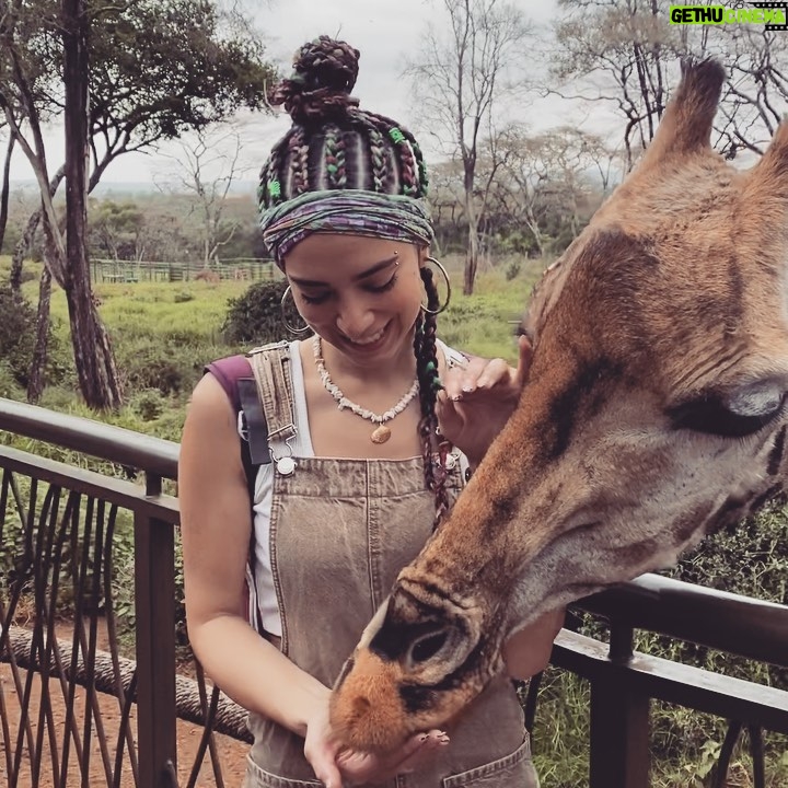 Dalia Shawky - 60.1K Likes - KENYA! 🦒🦓🐅🦣🐆🌿

Here’s to making a life-long dream of mine become a reality. Beyond ecstatic to go on this adventure of a lifetime. YOLO 🥹⚡️

Swipe more to see my besties Eddie and Betty .. 
Eddie و شوفوا 
و هو بيسمع اسمه و بيسمع كلامي و يجيلي 
و قصة حبنا اللي اول صفحة اتكتبت فيها انهارده 🤭
اتهورت و عملتها.. 🙈

علاقتي بالزرافة علاقة بحبها اوي.. من و انا صغيرة ناس كتير اوي كانت بتقعد تتريق عليا و تقولي ان رقبتي شبه الزرافة.. كانوا بيقولوهالي بطريقة مش لذيذة خالص .. كبرت و حبي للزرافة كبر معايا و كتبت مرة ان نفسي اعيش اللحظة دي اني أككلهم و اني اشوفهم في الwild حاسين بالحرية و منطلقين .. و حصل. الحمد لله.. سبحانك. 

انا لو رقبتي بتشبهوها بالزرافة 
فأنا ليا الشرف بجمالهم ده و رشاقتهم دي 🦒

انهارده كان يوم ~ عمري ماهنساه في حياتي كلها. ✨