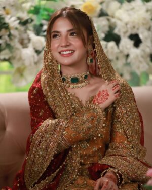 Dananeer Mobeen Instagram - Hougayi shaadi. 🤝🏻
-
@farahtalibaziz 
@sultansumair 
-
#talroshkishaadi #meemsemohabbat #meemsemohabbat❣️