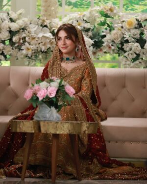 Dananeer Mobeen Instagram - Hougayi shaadi. 🤝🏻
-
@farahtalibaziz 
@sultansumair 
-
#talroshkishaadi #meemsemohabbat #meemsemohabbat❣️