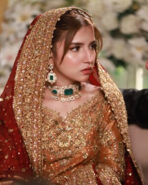 Dananeer Mobeen Instagram - Hougayi shaadi. 🤝🏻
-
@farahtalibaziz 
@sultansumair 
-
#talroshkishaadi #meemsemohabbat #meemsemohabbat❣️