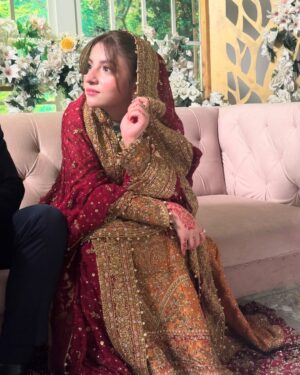 Dananeer Mobeen Instagram - Hougayi shaadi. 🤝🏻
-
@farahtalibaziz 
@sultansumair 
-
#talroshkishaadi #meemsemohabbat #meemsemohabbat❣️