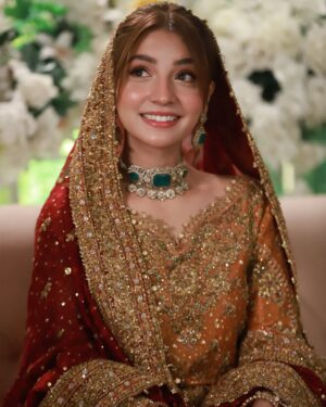 Dananeer Mobeen Instagram - Hougayi shaadi. 🤝🏻
-
@farahtalibaziz 
@sultansumair 
-
#talroshkishaadi #meemsemohabbat #meemsemohabbat❣️