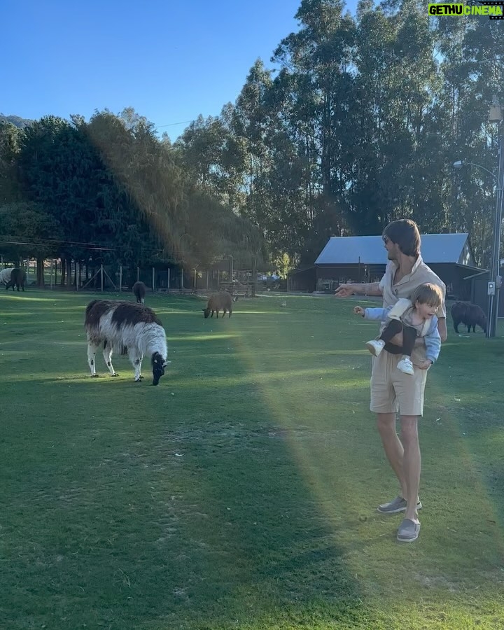 Daniela Palavecino - 7.9K Likes - Inolvidable Puerto Varas 💚 Gracias por tanto @hotel_cdl 🌋
No olvidaremos este lugar y todas sus goodies 😋
Mis gringuitos quedaron fascinados, tan lindo mi 🇨🇱❤️💙
.
Les dejo en las historias más frases que mandaron para Denisska 🤣