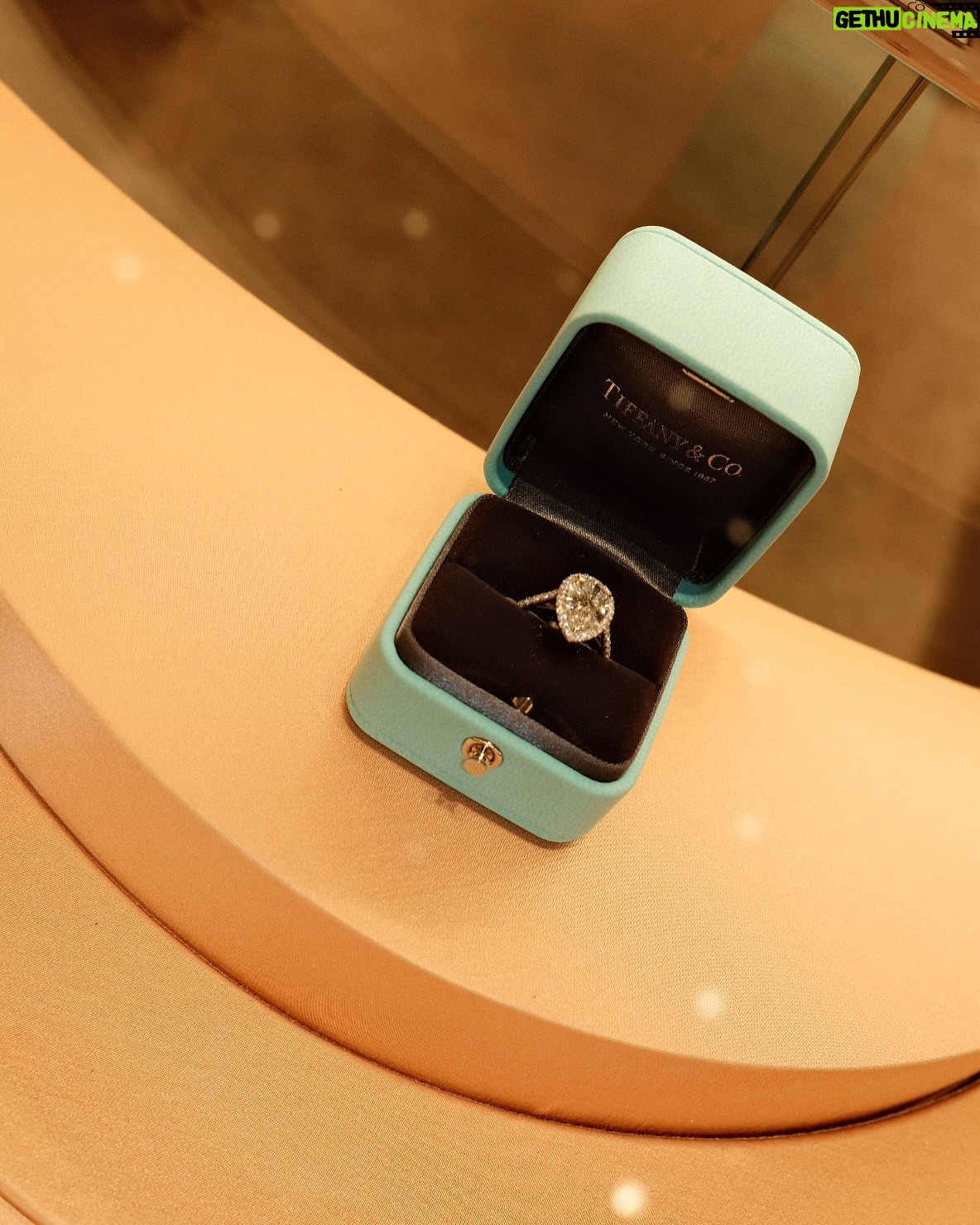 Danielle Arciniegas - 9.4K Likes - El momento perfecto junto con @tiffanyandco @latinamericanfashionsummit š©µ
Glam @franklinramostoscano
@padovalab