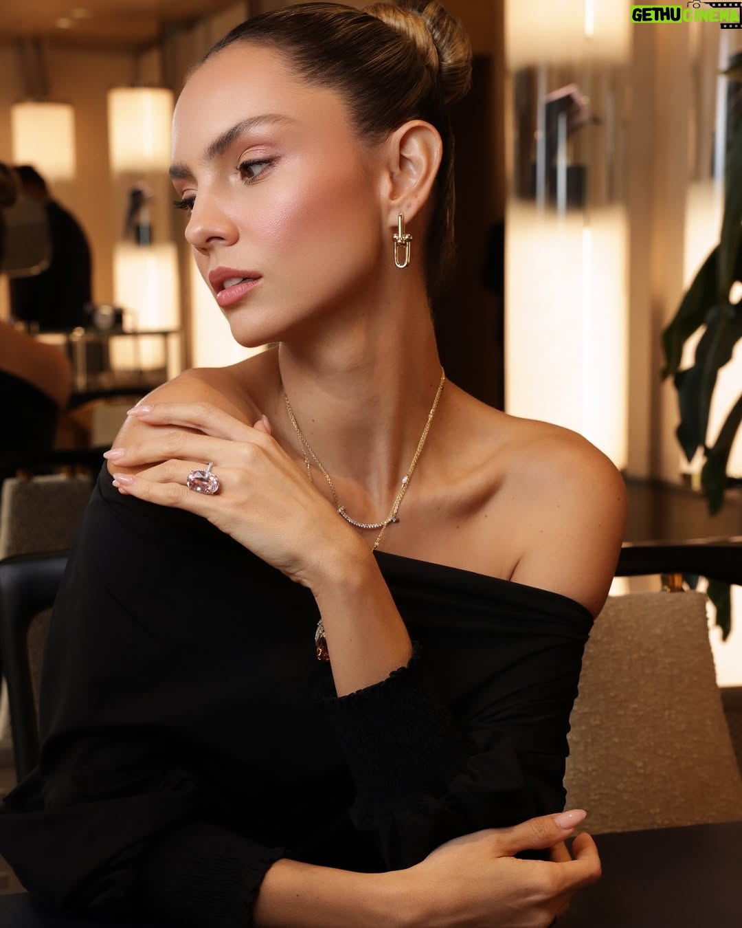 Danielle Arciniegas - 9.4K Likes - El momento perfecto junto con @tiffanyandco @latinamericanfashionsummit š©µ
Glam @franklinramostoscano
@padovalab