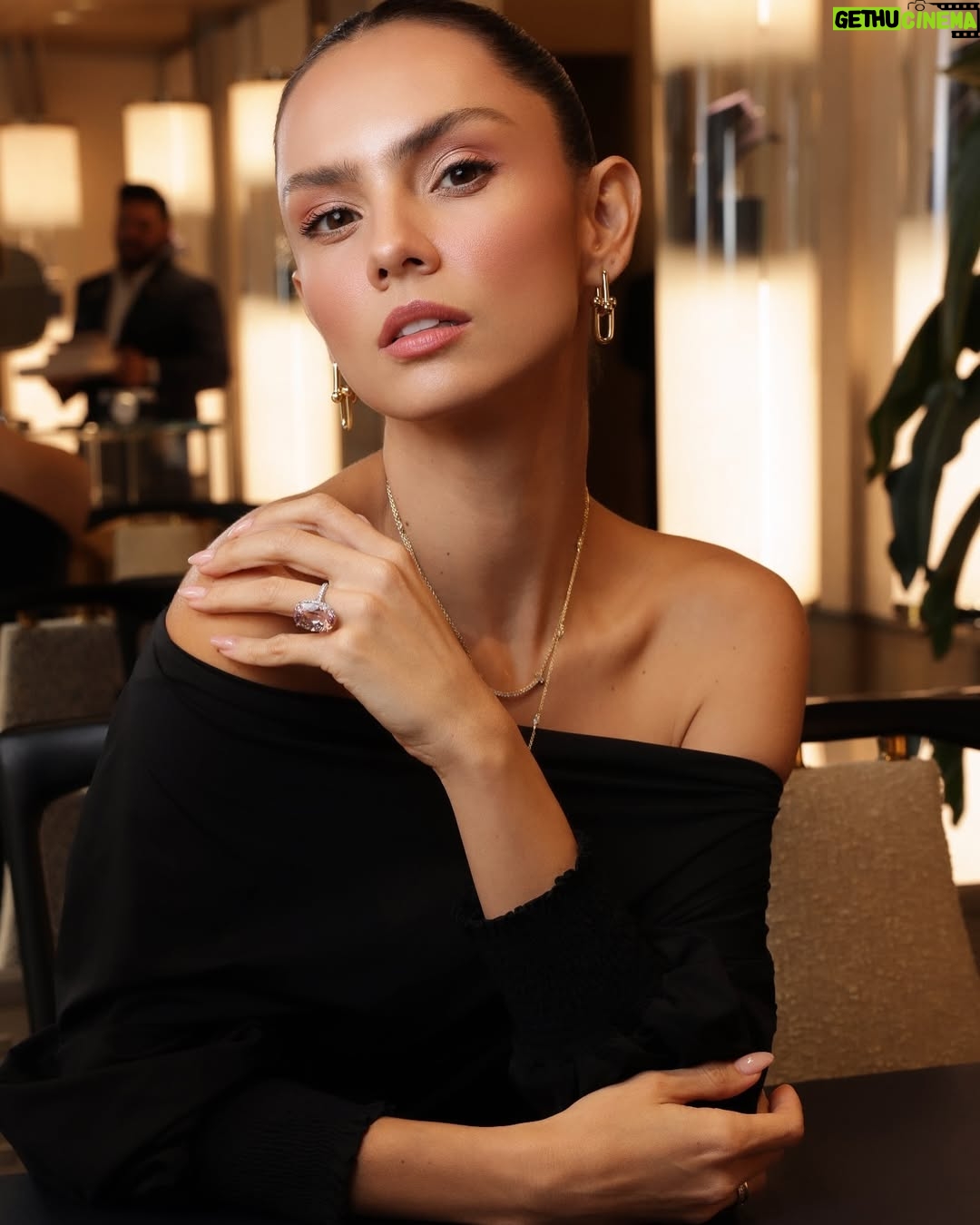 Danielle Arciniegas - 9.4K Likes - El momento perfecto junto con @tiffanyandco @latinamericanfashionsummit š©µ
Glam @franklinramostoscano
@padovalab