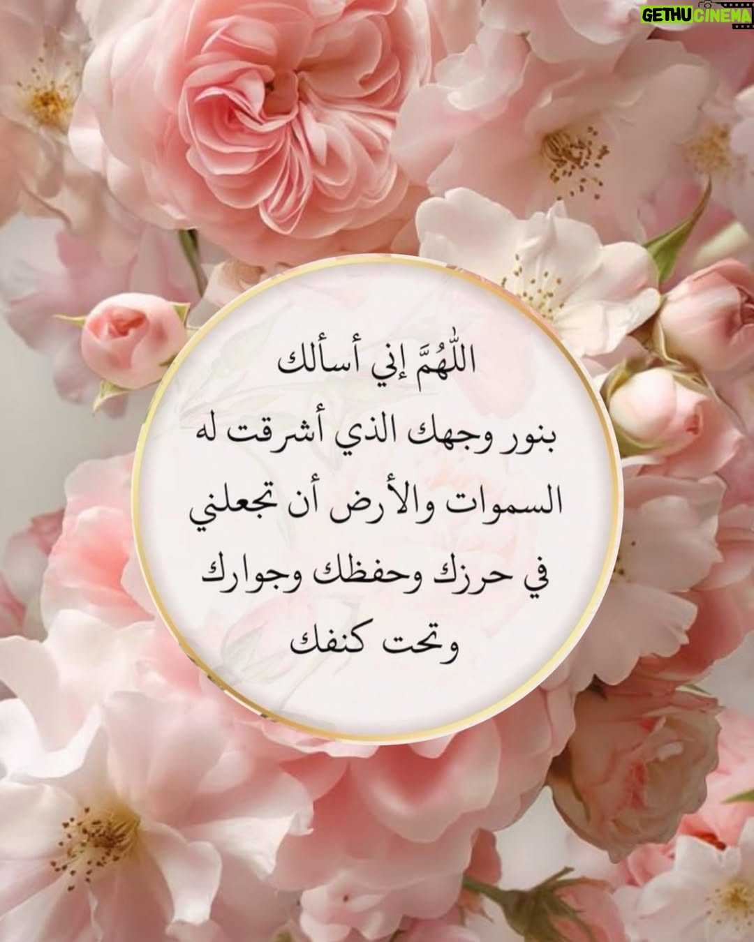 Darine Hamze - 5K Likes - #رمضان اجمل شهر على قلبي وروحي وفكري حين تصبح الصلاة غذاء الروح
#Ramadan is my soul’s favorite month… when praying becomes food for spirit 🤍🤲🏻