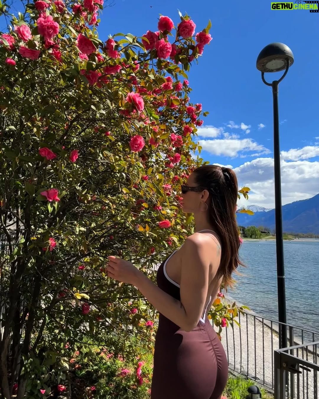 Dayane Mello - 14.9K Likes - Garden in full bloom đŤ§đ¸đŚ˘