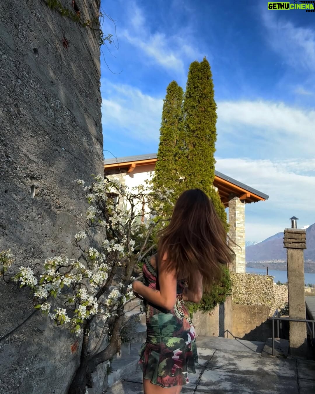 Dayane Mello - 17.5K Likes - Happy Spring! Todayâs Spring equinox means our favorite season is officially here. đ¸đđ¸đ