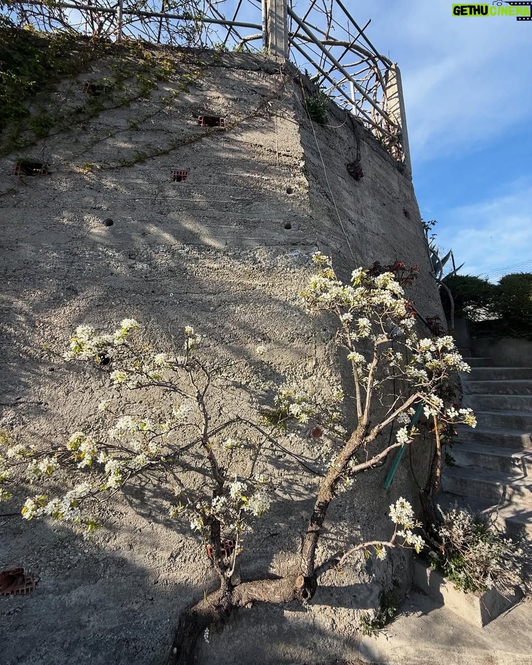 Dayane Mello - 17.5K Likes - Happy Spring! Todayâs Spring equinox means our favorite season is officially here. đ¸đđ¸đ