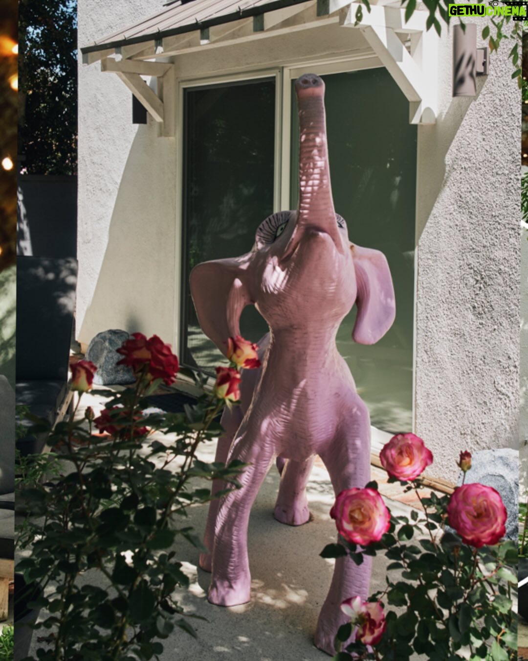 Debbie Millman - 14.3K Likes - A complete and total dream come true: a feature about our house in Los Angeles and my new book in the @nytimes. These shots are just a few of the amazing photographs by master photographer @philipcheungphoto. (I’m not thrilled with my utterly unflattering outfit, but everything else is glorious and my beloved @roxanegay74 looks so badass and beautiful.) Can anyone spot the Groot? First person to find him gets a free limited edition print of artwork from my new book Love Letter to a Garden. Thank you Sydney Gore aka @cozy.spice for the wonderful article. Free link to read the article and see more about my book is in my bio! 🌺