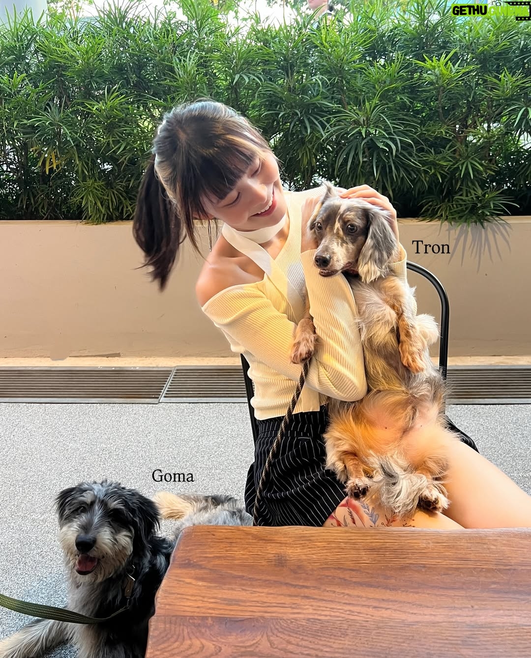 Denise Camillia Tan - 2.5K Likes - March series 🤍
1. Checked out the massive Starfield Library 📚
2. Been working on a new drama project! Stay tuned! 🎬
3. Experienced the worst migraine at the start of my trip, but still gotta look cute 💄
4. Samgyetang saved the day! 🍲
5. Tried marinated raw crab for the first time, brave girl moment 🦀
6. A 4 pax trip that turned into an unexpected sister bonding adventure instead ❤️
7. Having tteokbokki by the street in cold weather hits different
8. Playing in the snow way past midnight ❄️
9. The cutest, fluffiest sheep cafe in Hongdae 🥹🐑
10. My weekly 🎾 fix!
11. Spending the day w the pawrents & fur babies
12. Trying on these sick Tabi @christianlouboutin @maisonmargiela 🔥