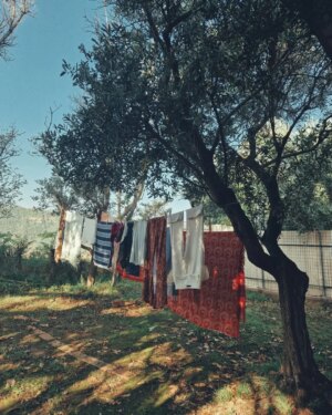 Denise Capezza Instagram - Reminiscences of nomadic days..