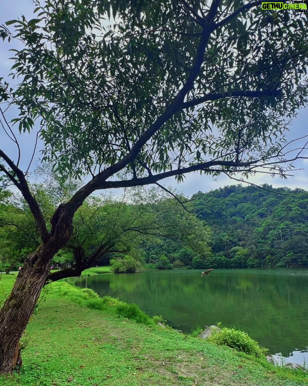 Diana Haddad - 82.5K Likes - Just another adventure 🍃⛰️⛩️
#dianahaddad_look