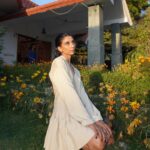 Dolly Singh