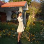 Dolly Singh