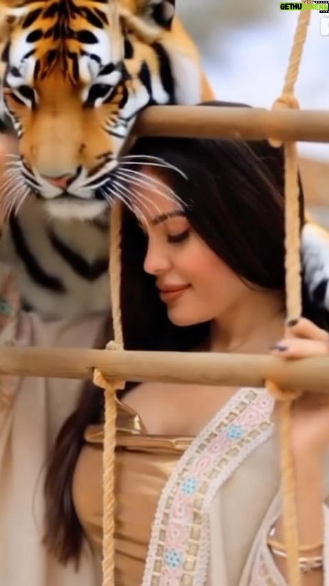 Dominique Hourani - 3 Likes - I want him to be my #tiger