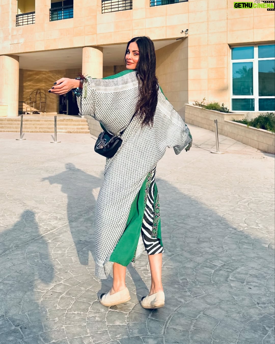 Dominique Hourani - 3 Likes - @tedaswissinn @kayan_store_1 الاخضر ملك الغابة