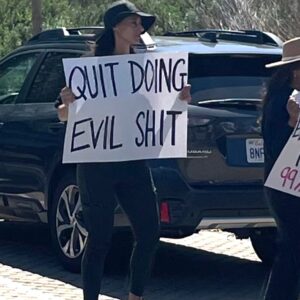 Eileen Davidson Van Patten Instagram - Malibu showed up!!! and stood up! #handsoff2025 @50501movement