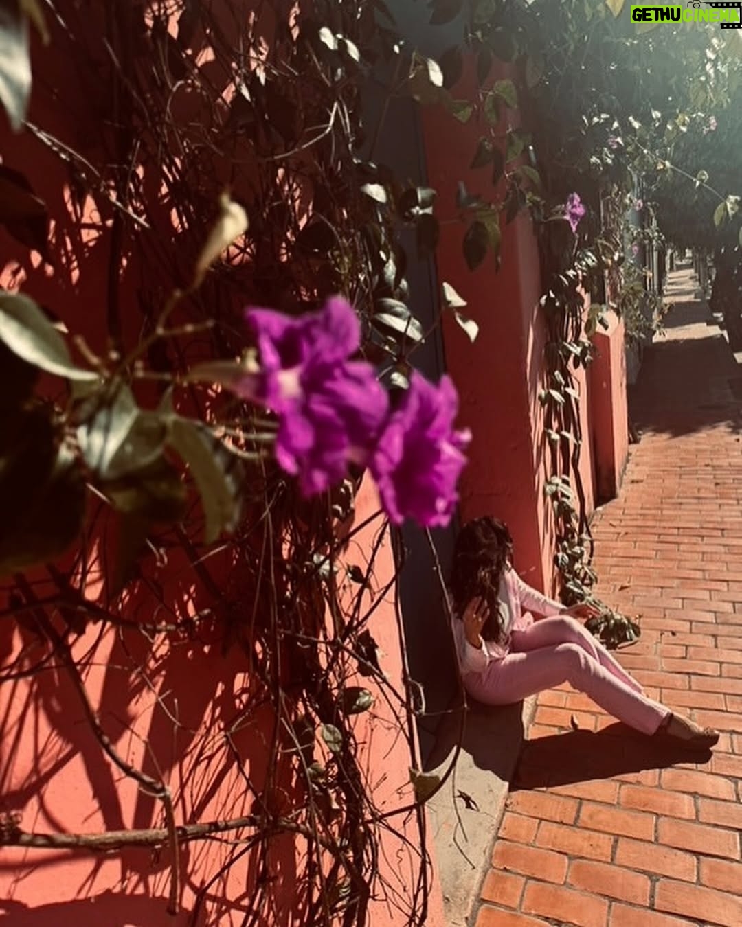 Eileen Moreno - 6.4K Likes - Una tarde en el bello mompox āļø š„µ š„