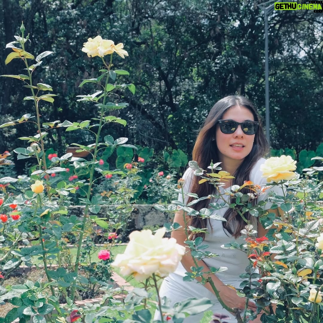 Eileen Moreno - 9.4K Likes - Todo lo que necesitas es amor. š·
Especialmente el amor propio. Tómate hoy para ser extra amable contigo mismo.