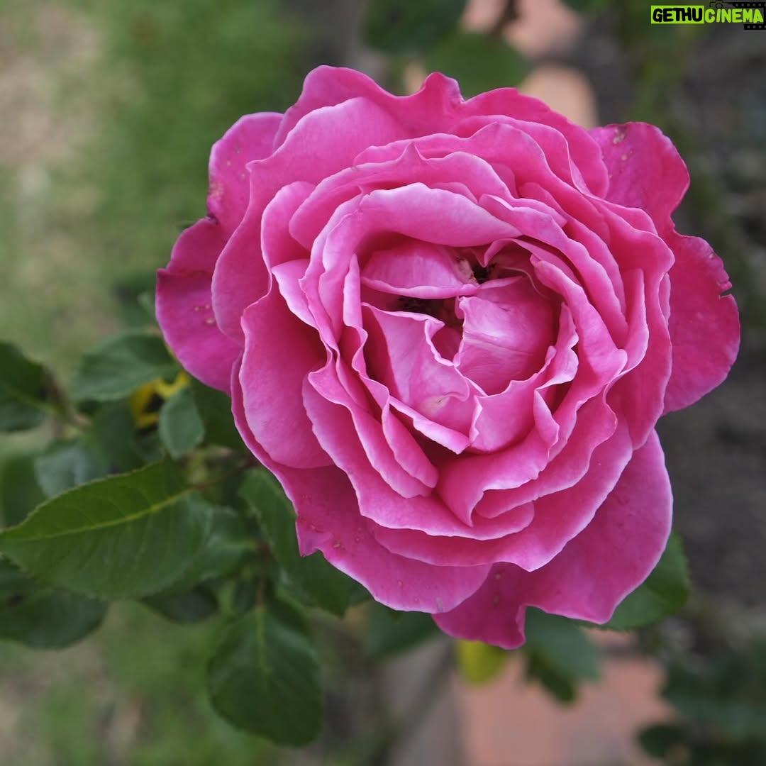 Eileen Moreno - 9.4K Likes - Todo lo que necesitas es amor. š·
Especialmente el amor propio. Tómate hoy para ser extra amable contigo mismo.