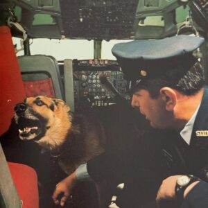 Elisa Zulueta Instagram - ✈️ Nos llena de ilusión y entusiasmo contarles que de hoy en más, cada vez que se suban a un @latamairlines, los acompañaremos con nuestro nuevo podcast: 💺 *Modo Avión* 💺 Levantaremos el apoyabrazos para acurrucarte todo el camino con historias y anécdotas que te harán volar, porque ya estarás volando 🛫 Seremos más que compañeros de viaje, seremos más que amigos y más que familia, seremos: entretenimiento a bordo 🛩️💫

Diseño sonoro por @gabrieldonosogaldames 
Fotos por @javierapolvorin