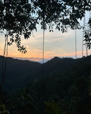 Emmanuelle Cureau Instagram - Drivée dans ma vie par une énergie yang, d’action , d’ambition , de contrôle même , une vie sans cesse remplie de nouveau projet , je suis arrivée à Bali avec l’ambition d’avancer et concrétiser ce que j’avais enclenché !

Mais Bali m’a pris …

Perte de motivation, d’envie, de tout élan de création et peut être même de sens .

J’ai finis par lâcher et petit à petit accepter ne plus faire , pour revenir une fois de plus à L’ÊTRE. 

Être soi dans une dimension plus authentique et vulnérable. 
Être soi pour s’ouvrir et l’offrir à l’autre 
Être soi au delà d’un ego du personnage
Être soi partout et dans tout !

Merci Bali de me rappeler l’essence de la vie ✨