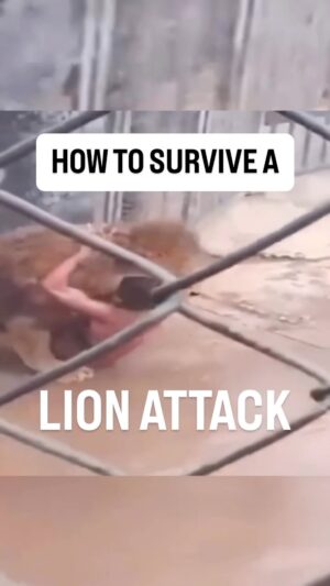 Eve Torres Instagram - Sadly, some will mistakenly dismiss this as an April fools joke, but if you have a better plan than what this guy actually did, I wanna hear it in the comments. 

100% jokes aside, don’t miss our upcoming free 2.5-hour Gracie Jiu-Jitsu 101 seminar on May 18, 2025 in Torrance, CA and at select Certified Training Centers worldwide. 

Adults and teens, ages 13 and up. No experience necessary. Find a location and register online at GJJ101.com 

If you have children under 13, go to BullyproofSummerCamp.com - One week with us will change your child’s life forever.