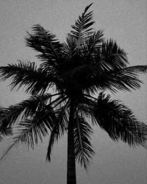 Fanny Rodrigues Instagram - Estamos no paraíso. O verdadeiro paraíso 🏝️ 🌊
E deixo-vos aqui um bocadinho de todo o “processo” até cá chegar. 

Agradecer de coração ao @agenteviagens_carlos (Rodrigo e Carolina) que trataram de tudo e eu não tive de me preocupar absolutamente com nada! 💙

Vamos continuar por cá, a curtir. 🥳🤌🏼