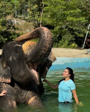 Farah El Fassi Instagram - طلبت الراحة لنفسي فلم أجد شيأ أروع من ترك ما لا يعنيني 🐘
#thailand 🐘♥️♥️🌸