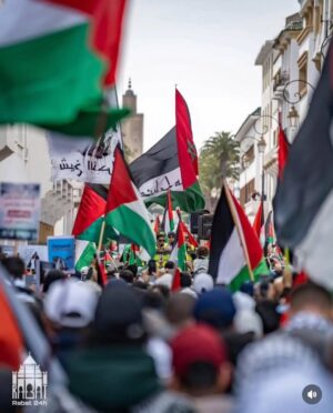 Farah El Fassi Instagram - فلسطين حرة ✌🏻#freepelastine🇵🇸 #اللهم_حرر_المسجد_الأقصى_واجبر_كسرهم_واشف_مرضاهم_وتقبلشهدائهم_برحمتك_اللهم_إني_أستودعك_بيت_المقدسوأهل #فلسطين