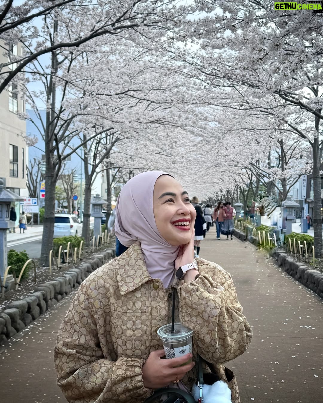 Feni Rose - 1.6K Likes - Bunga bungaa di mana mana .. Kamakura Japan.